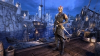 The Elder Scrolls Online Summerset Digital Standard Edition Digital Download CD Key  screenshot 8