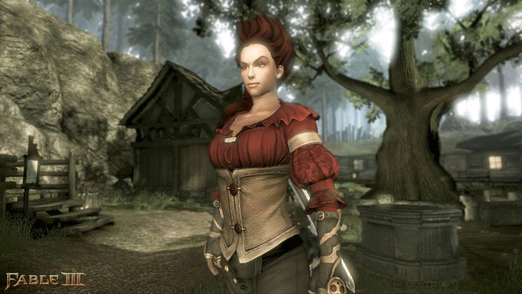 Fable III Steam Gift