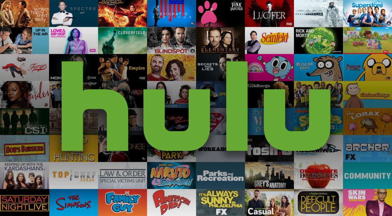 Hulu Gift Card $50 NA