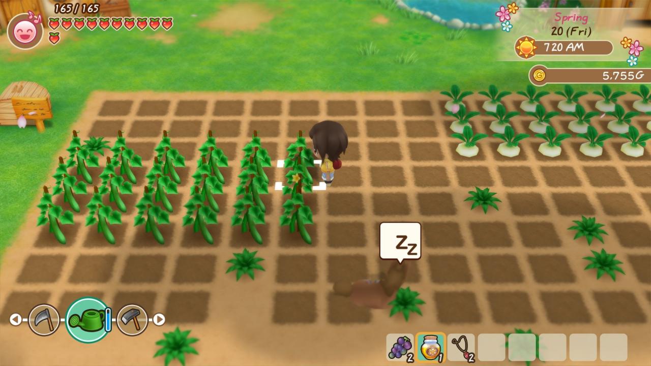 STORY OF SEASONS: Friends Of Mineral Town EU Steam Altergift