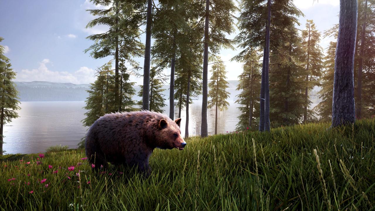 Hunting Simulator 2 - Bear Hunter Pack DLC Steam Altergift