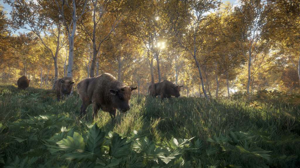 TheHunter: Call Of The Wild Steam Altergift