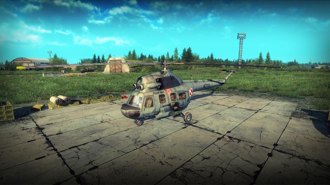 Heliborne + Polish Armed Forces Camouflage Pack DLC Steam CD Key