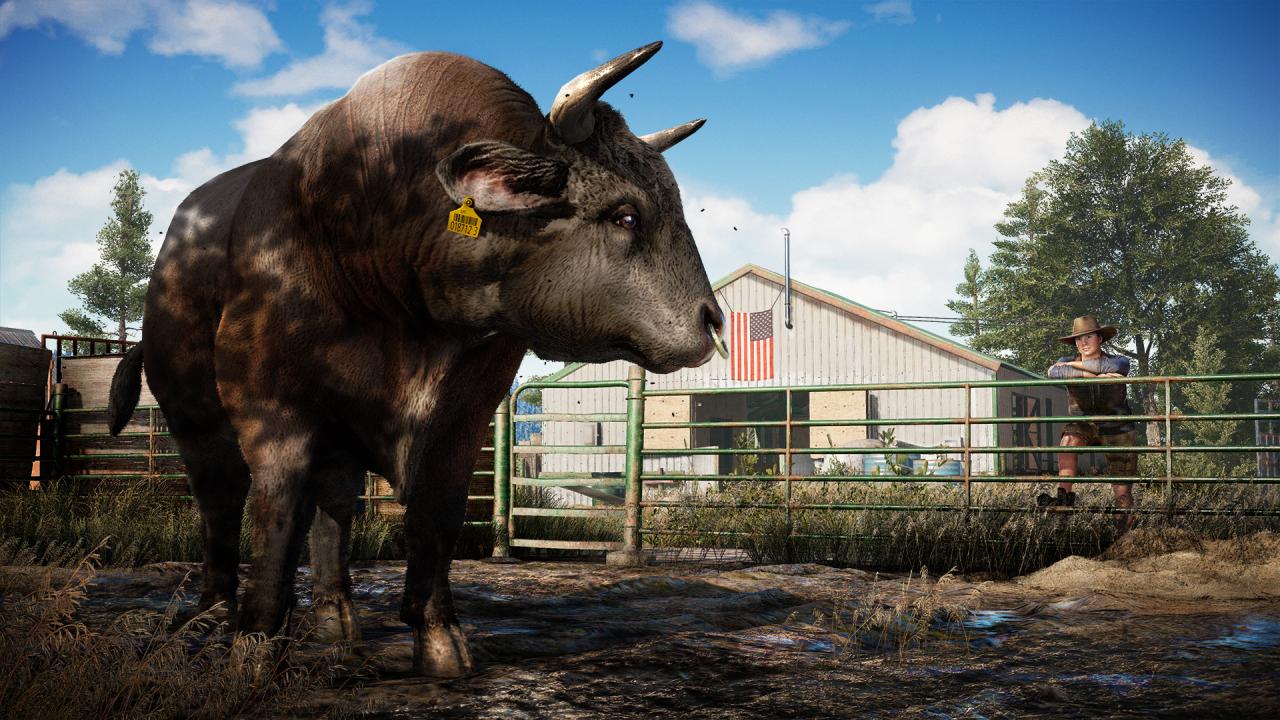 Far Cry 5 Gold Edition + Far Cry New Dawn Deluxe Edition Bundle Steam Account