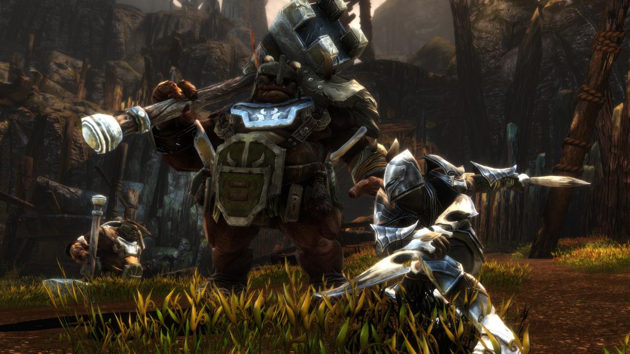 Kingdoms Of Amalur: Re-Reckoning FATE Edition Steam Altergift