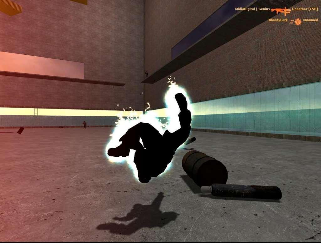 Half-Life 2: Deathmatch Steam CD Key
