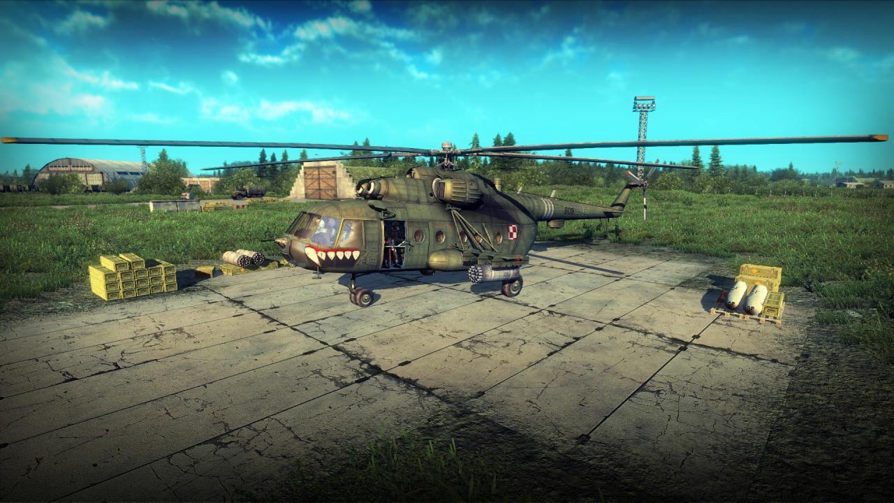 Heliborne + Polish Armed Forces Camouflage Pack DLC EU Steam CD Key