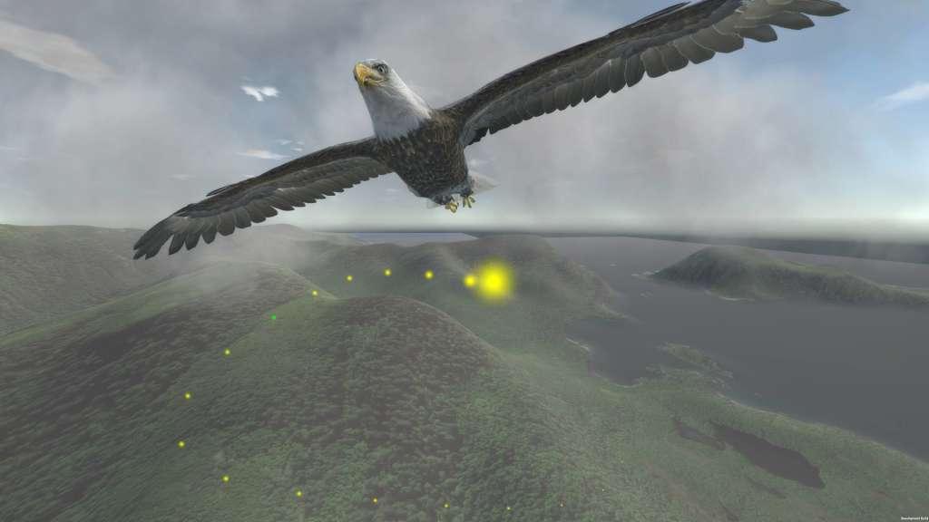 Aquila Bird Flight Simulator Steam CD Key