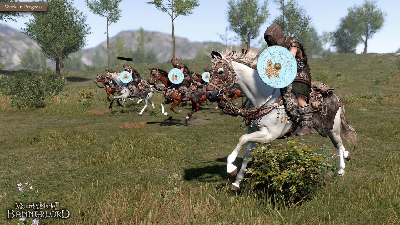 Mount & Blade: The Warlord Package US Steam CD Key
