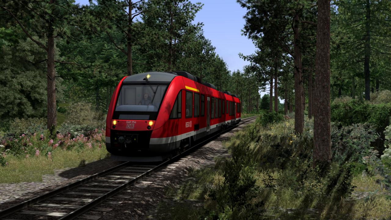 Train Simulator 2021 EU Steam CD Key
