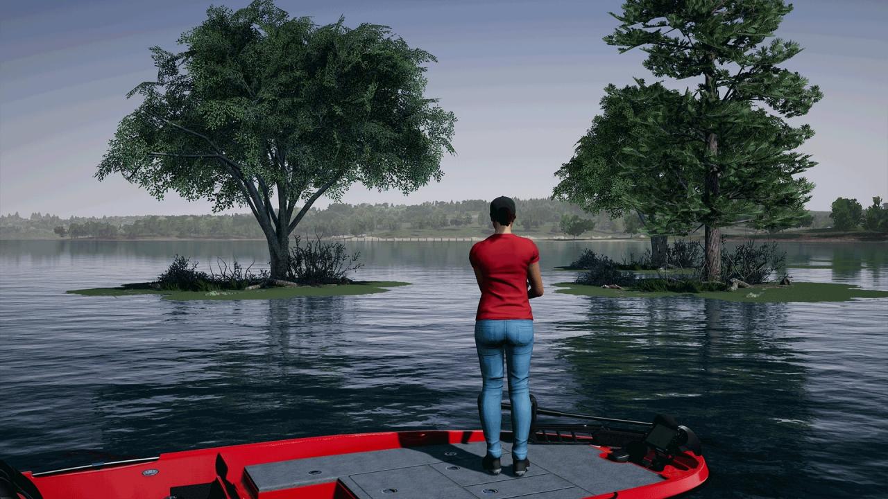 Fishing Sim World: Pro Tour - Lake Arnold DLC Steam CD Key