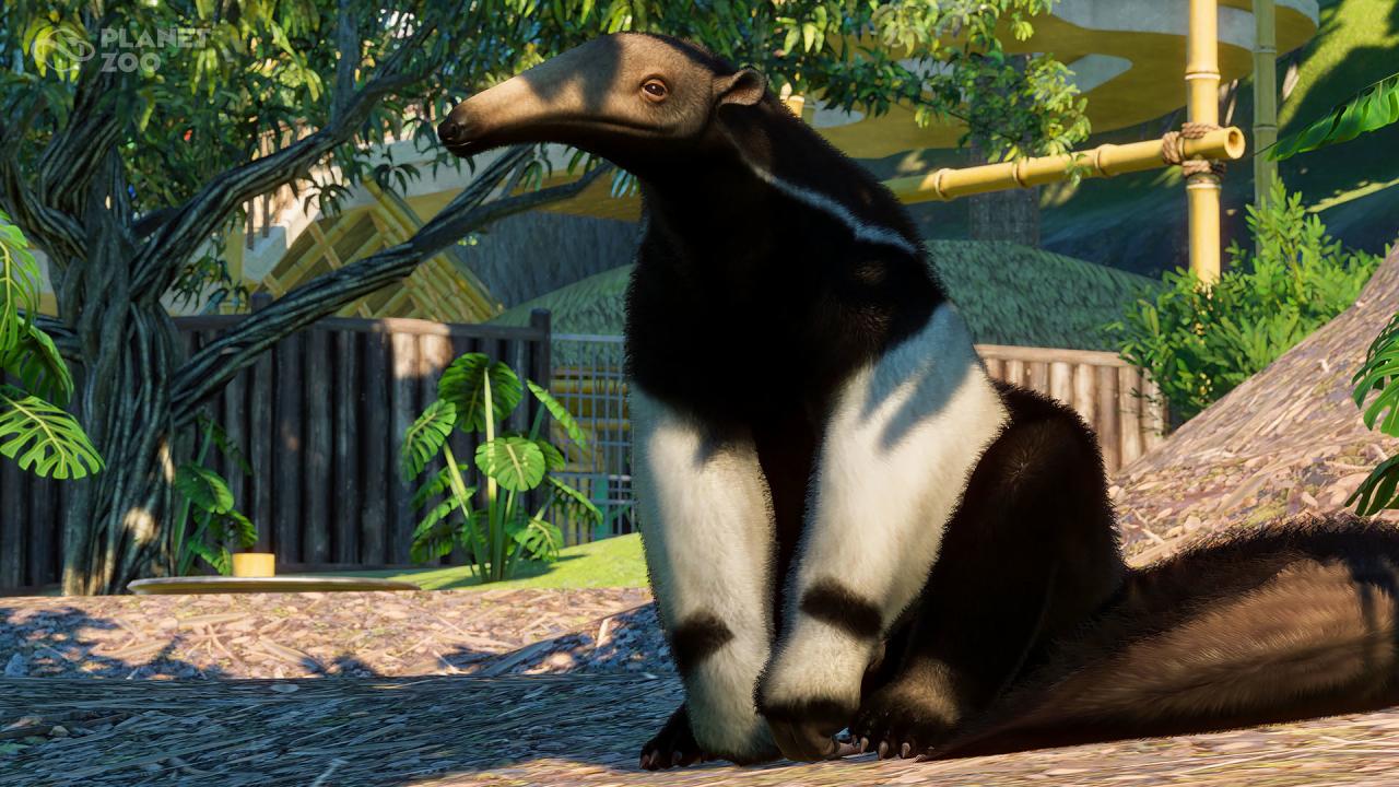 Planet Zoo - South America Pack DLC Steam CD Key