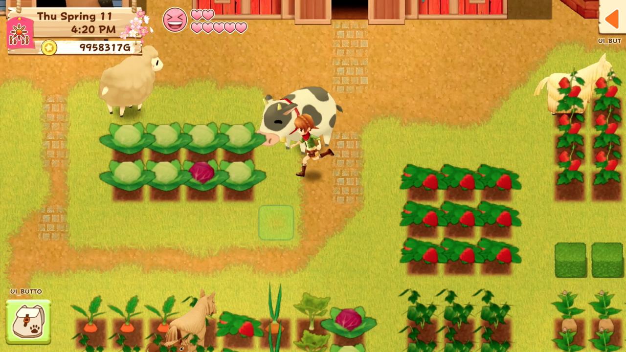 Harvest Moon: Light Of Hope Special Edition RoW Steam CD Key