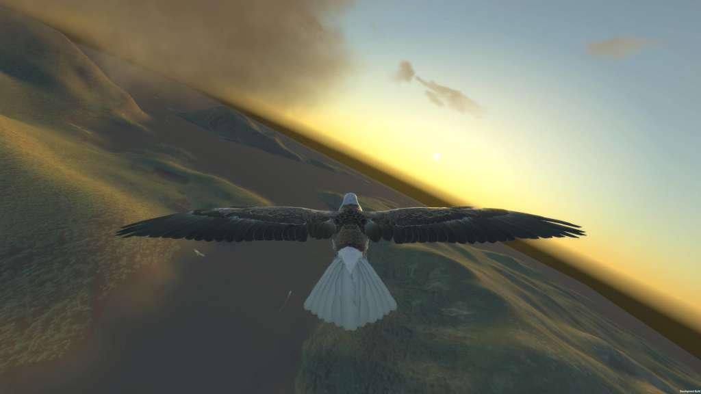 Aquila Bird Flight Simulator Steam CD Key