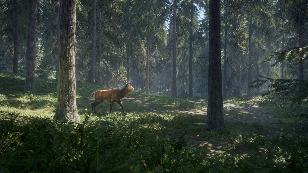 TheHunter: Call Of The Wild + 21 DLCs Pack Steam CD Key