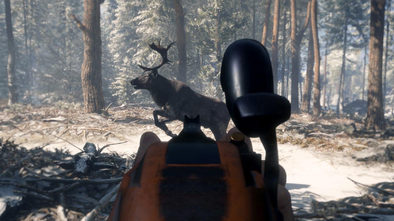 TheHunter: Call Of The Wild - Smoking Barrels Weapon Pack DLC Steam Altergift