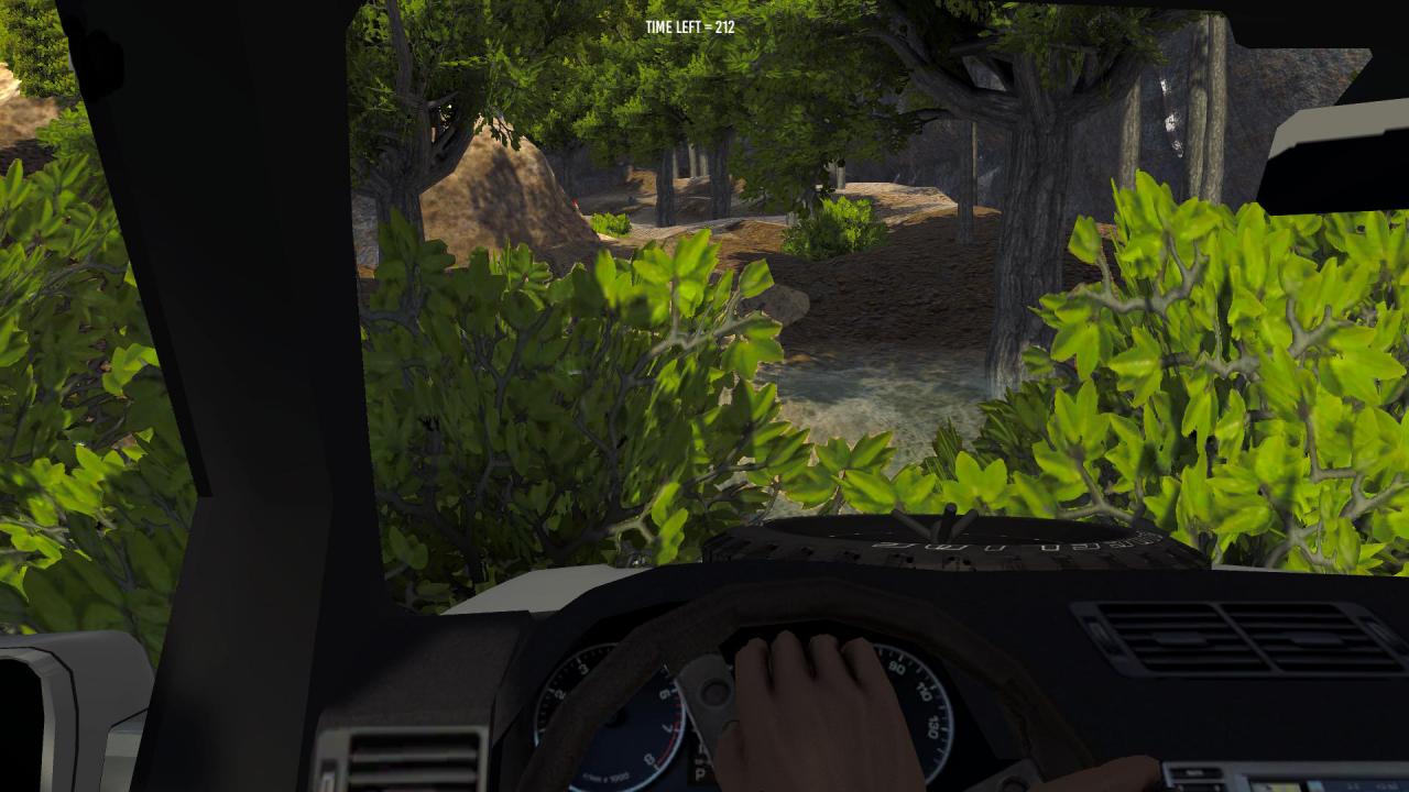 Need For Spirit: Drink & Drive Simulator Steam CD Key