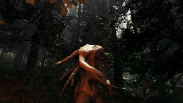 The Forest Steam CD Key