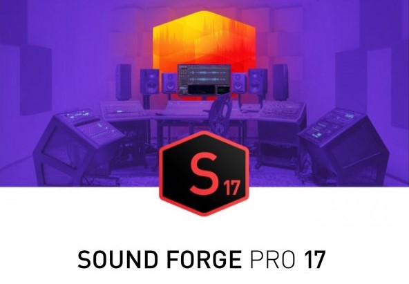 MAGIX Sound Forge Pro 17 RoW Digital Download CD Key screenshot 1