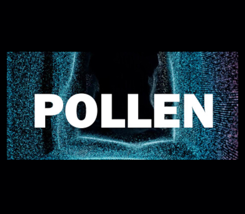 Pollen PC Steam