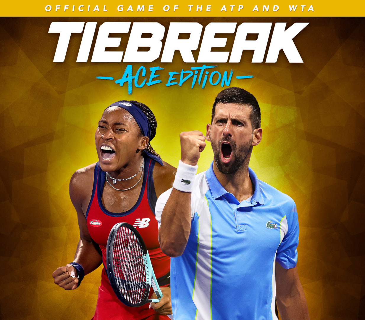 

TIEBREAK - Ace Edition RoW PC Steam CD Key