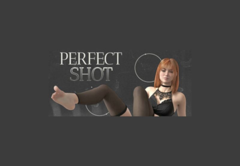 Perfect Shot PC Steam CD Key screenshot 1