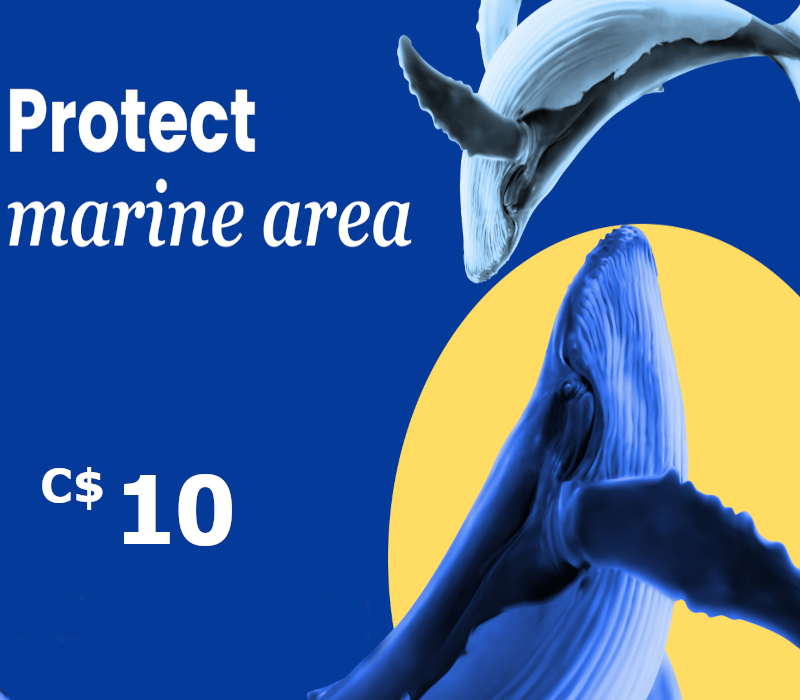 

Dots.eco - Protect Marine Area C$10 Gift Card CA