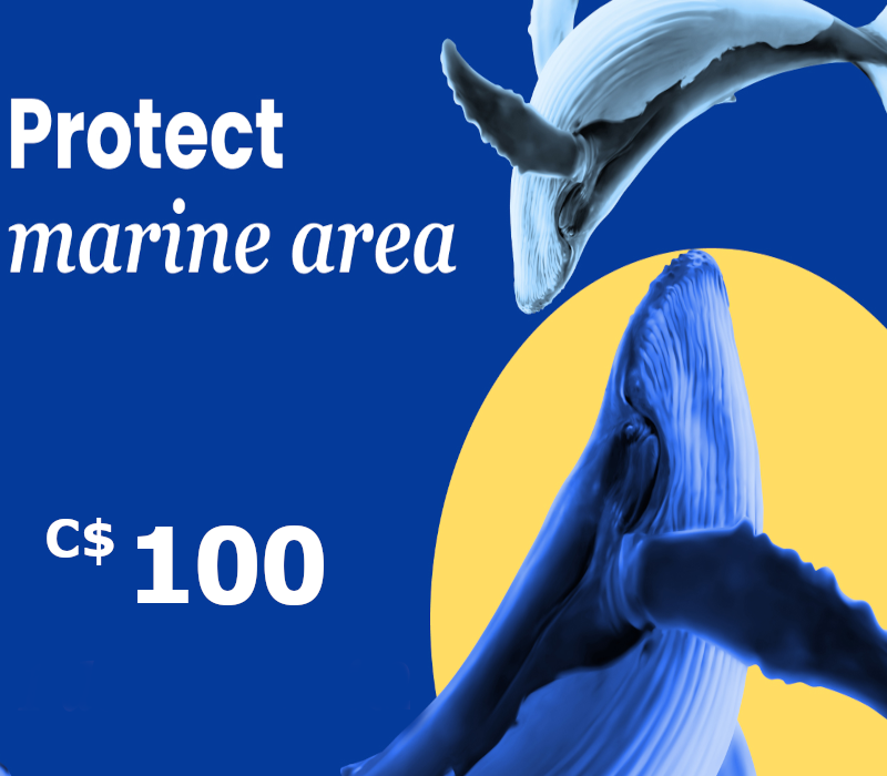 

Dots.eco - Protect Marine Area C$100 Gift Card CA