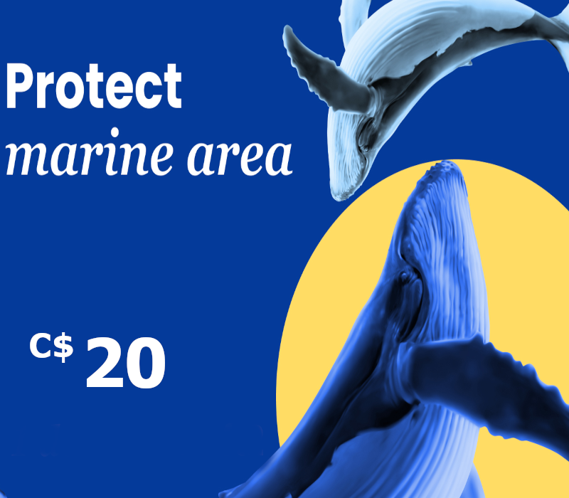 

Dots.eco - Protect Marine Area C$20 Gift Card CA