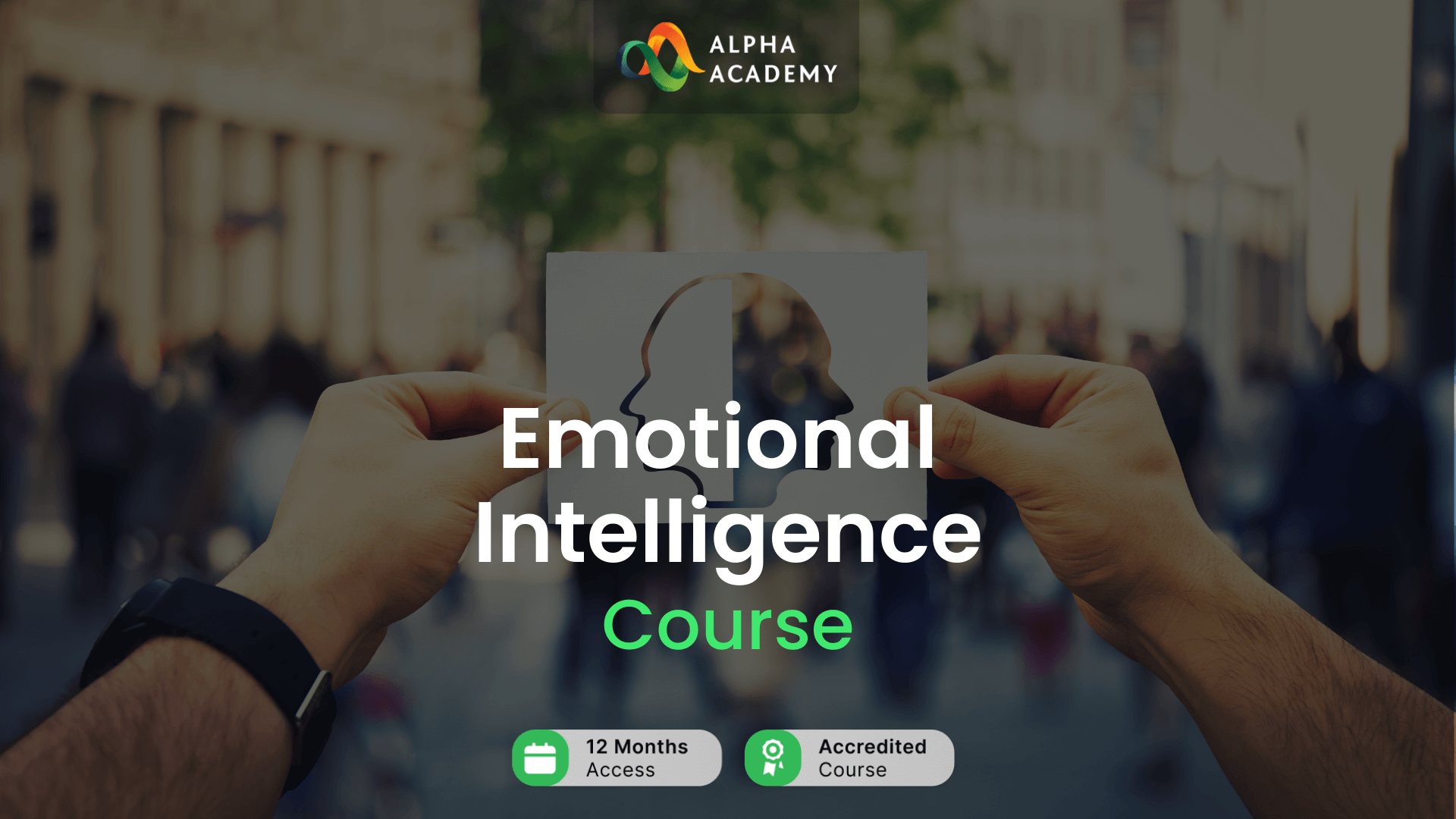 Emotional Intelligence Alpha Academy Code