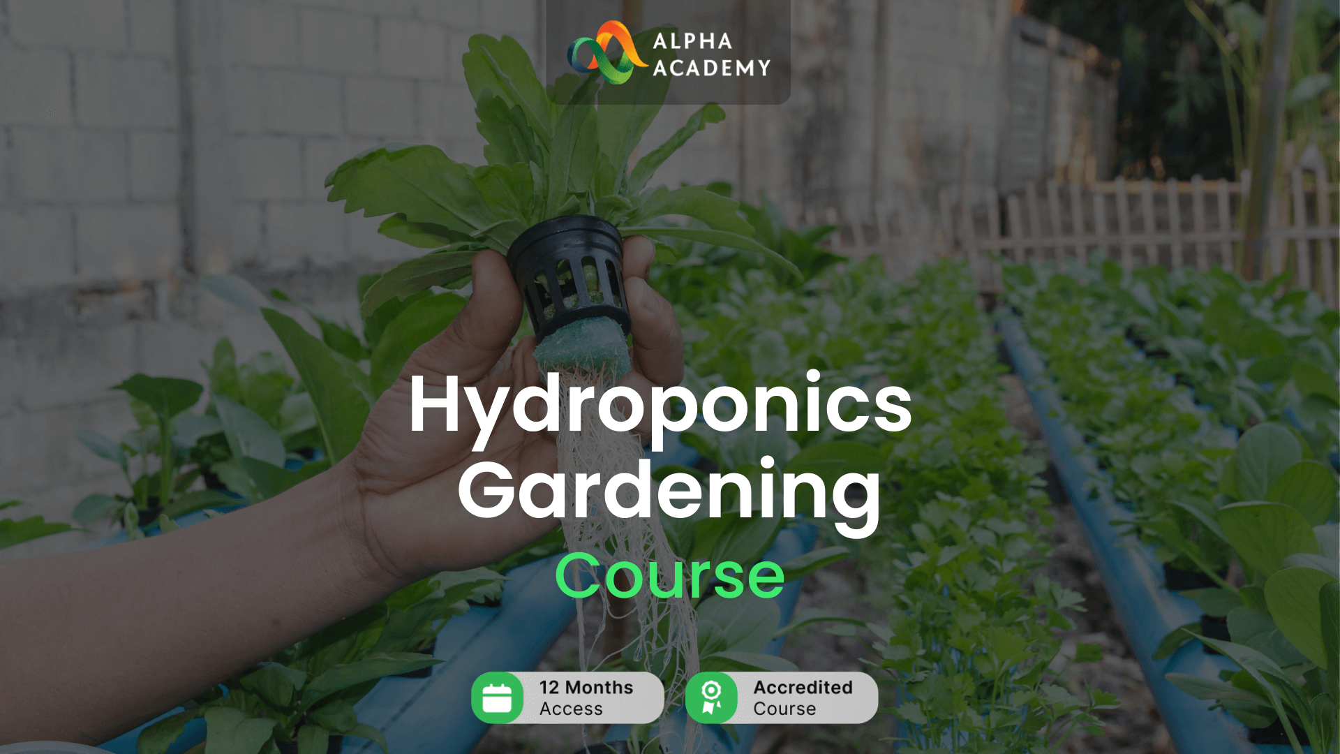 Hydroponics Gardening Online Course Alpha Academy Code