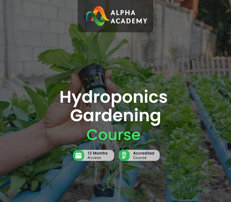 Hydroponics Gardening Online Course Alpha Academy Code