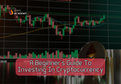 Investing in Crypto – Beginner’s Guide to Digital Assets John Academy Code screenshot 1