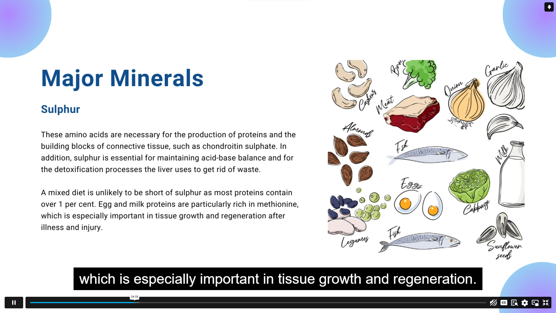 Nutrition & Human Health – Wellness and Vitality Guide John Academy Code