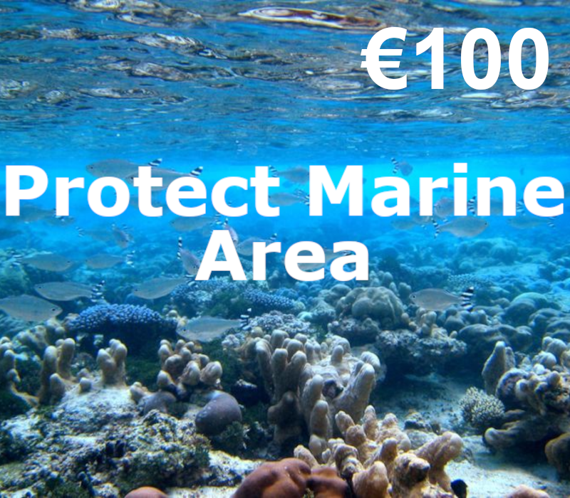 

Dots.eco - Protect Marine Area €100 Gift Card EE