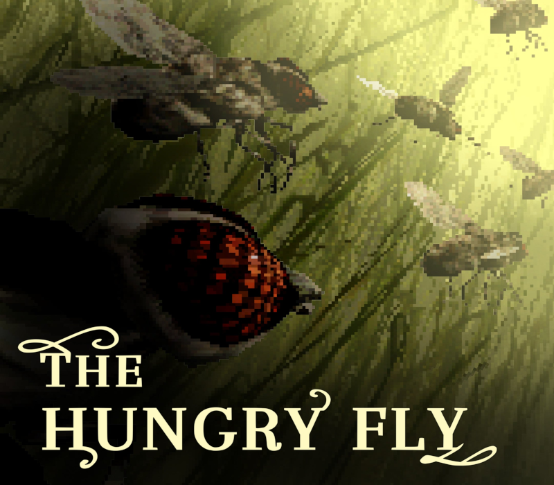 The Hungry Fly PC Steam