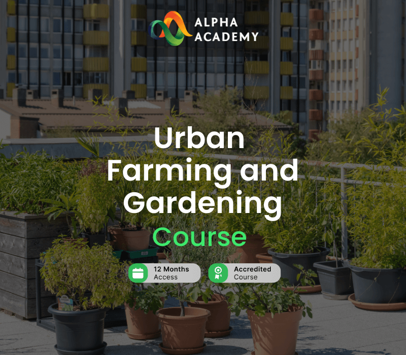 

Urban Farming and Gardening Alpha Academy Code