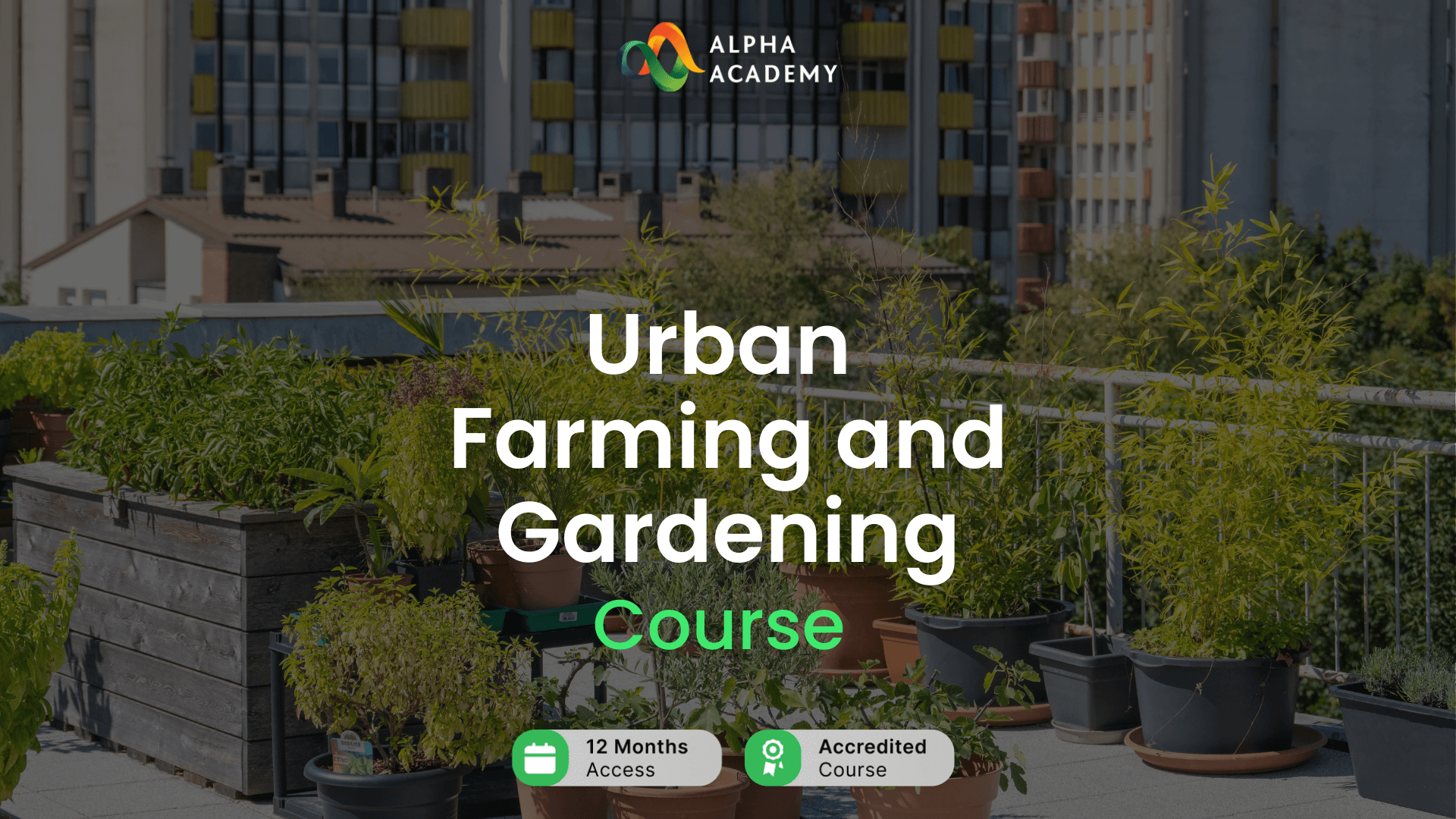 Urban Farming and Gardening Alpha Academy Code