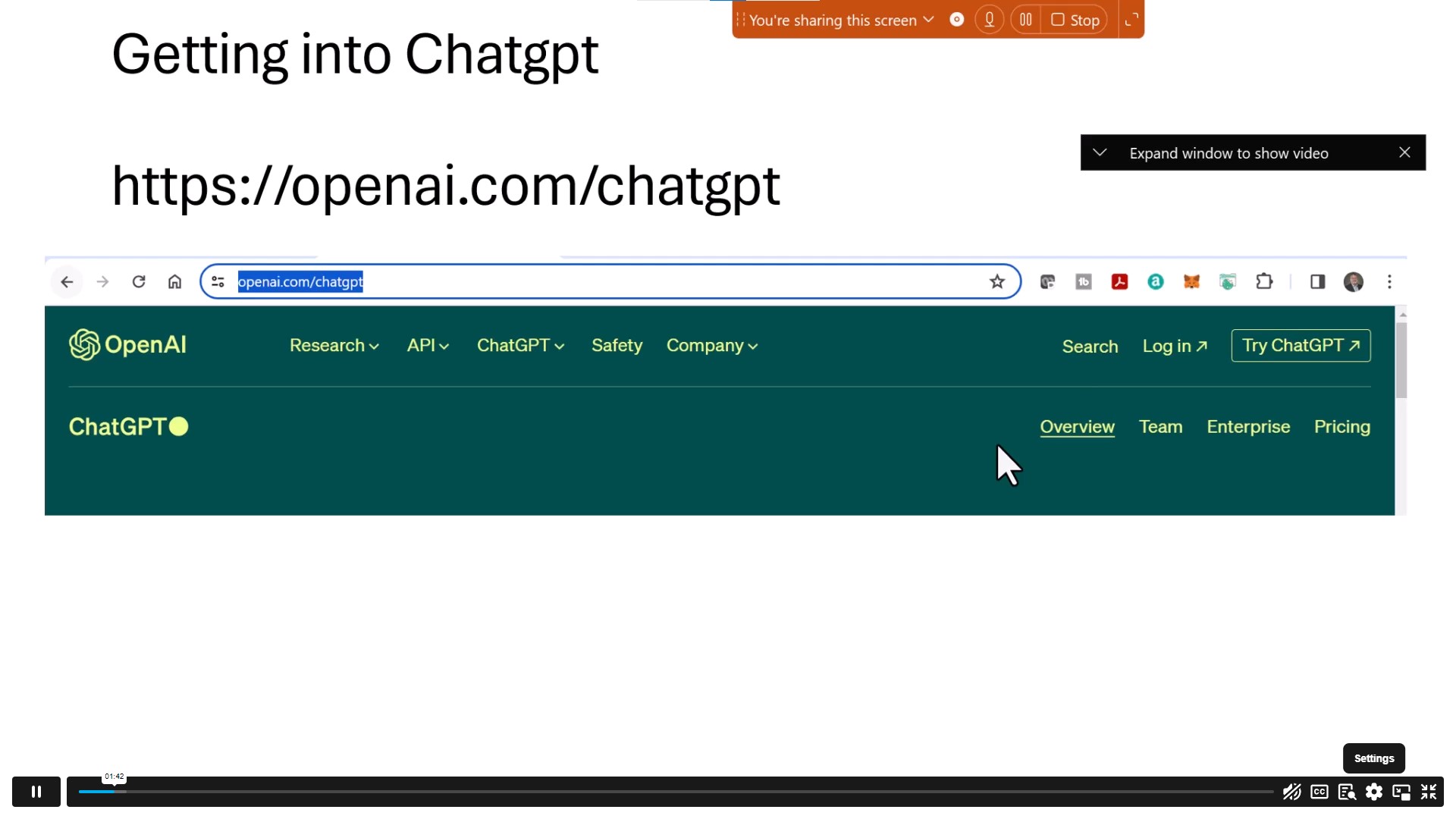 Using Excel with ChatGPT Alpha Academy Code