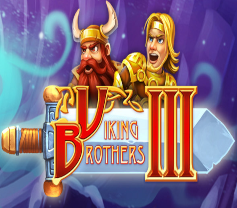 Viking Brothers 3 PC Steam CD Key