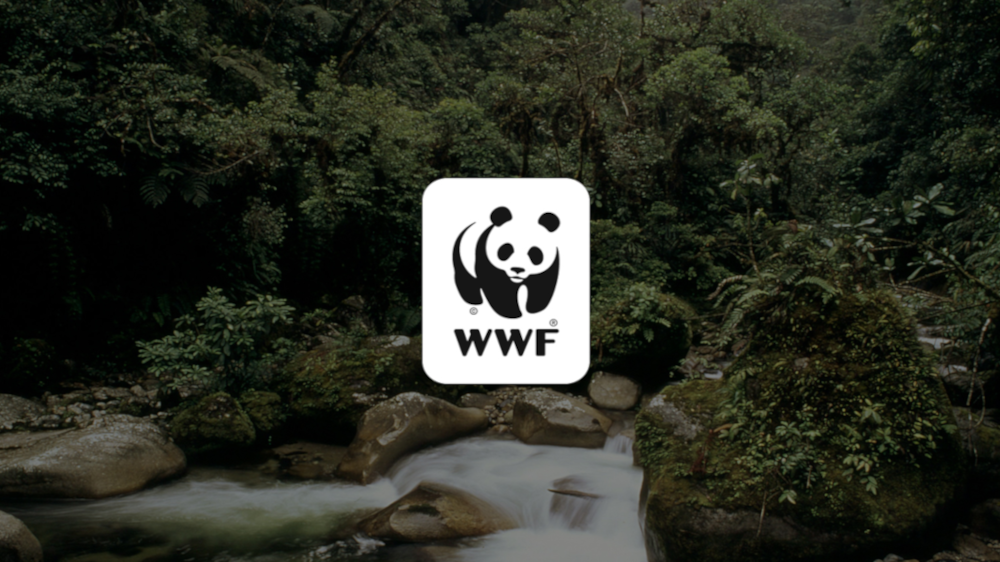 WWF €10 Gift Card DE