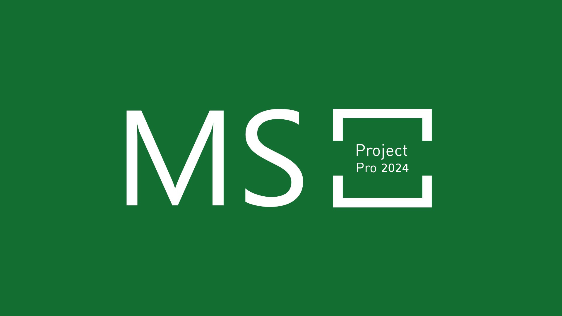 MS Project Professional 2024 Bind Key