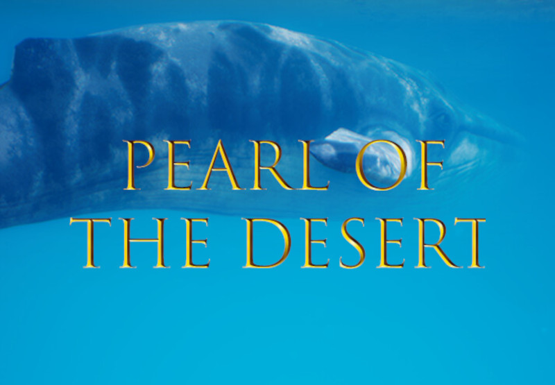 Pearl of the Desert PC Steam CD Key screenshot 1