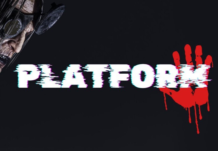 Platform PC Steam CD Key screenshot 1