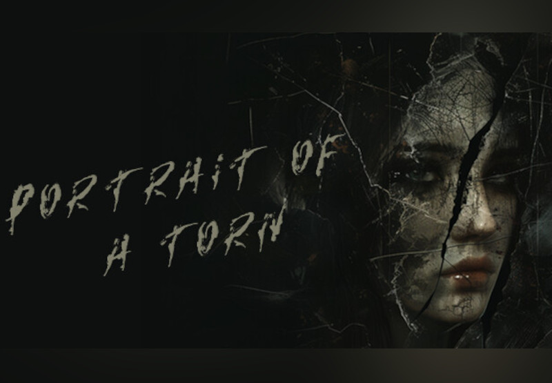 Portrait of a Torn PC Steam CD Key screenshot 2