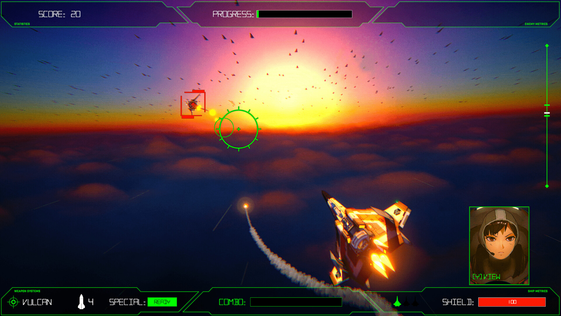 ROGUE FLIGHT PC Steam