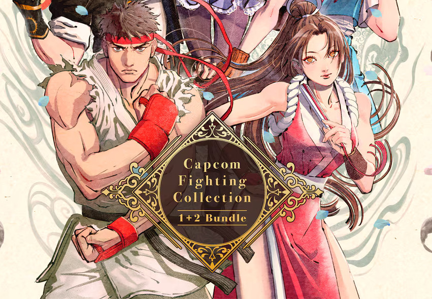 Capcom Fighting Collection 1 + 2 EU PC Steam CD Key
