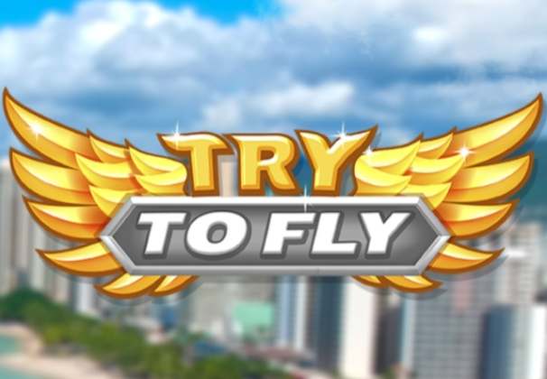 Try to Fly PC Steam CD Key screenshot 1