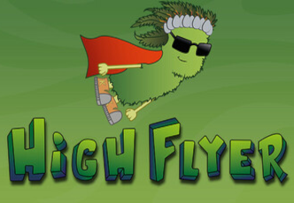  High Flyer PC Steam CD Key  screenshot 2