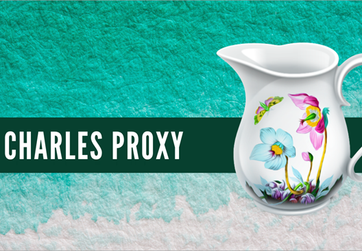 Charles Proxy 5 Key screenshot 1